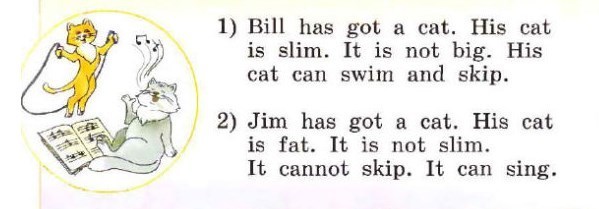 Прочитай вопросы и ответь на них:  1) Has Bill got a cat? Yes, Bill has got a cat. 2) Can his cat...