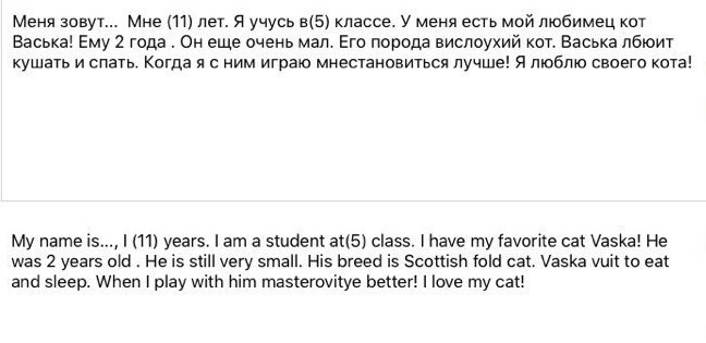 I live in a house with a cat. Her name is Lizy. I have it for a long time and I’m...