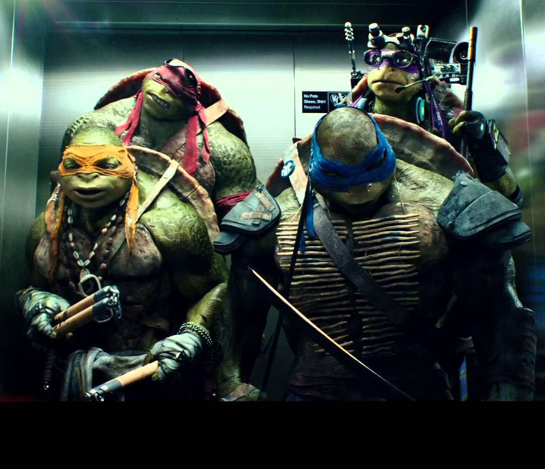 Teenage Mutant Ninja Turtles.  TMNT they names - Donatello, Rafael, Michelangelo, Leonardo. The   They live from Manhattan. Their teacher -  Mouse Splinter....
